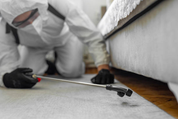Professional Bed Bug Control technician working in Honey Grove, TX
