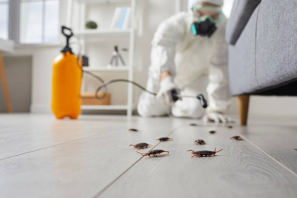 Trusted Mosquito Control service in Honey Grove, TX - Nex Pest Control