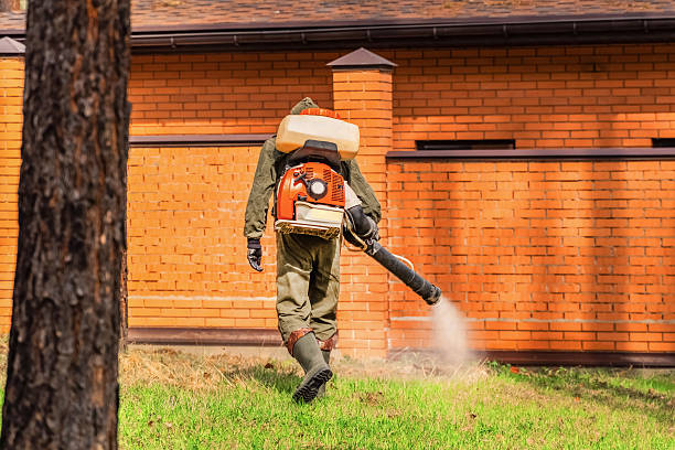 Trusted Bed Bug Control service in Honey Grove, TX - Nex Pest Control